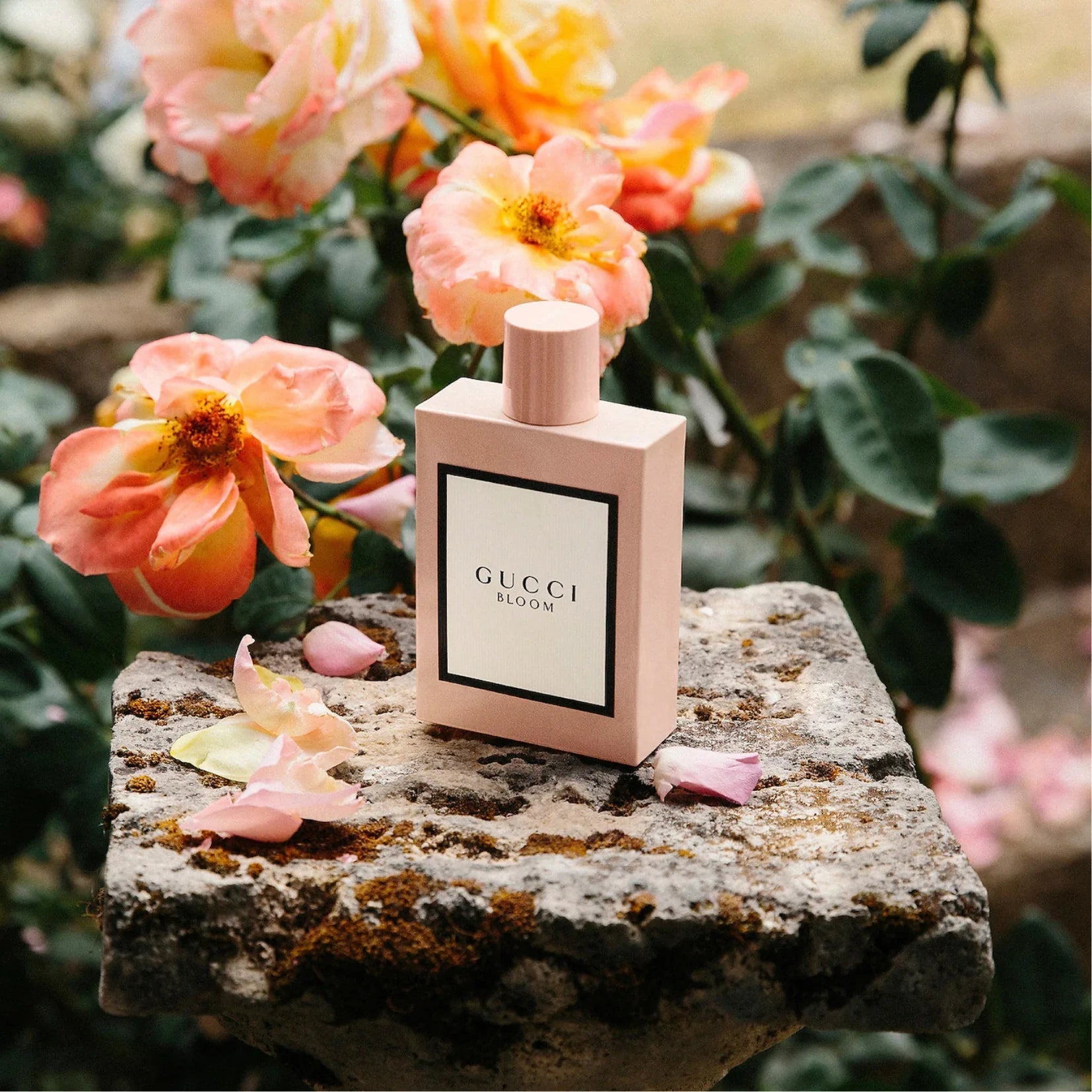 Gucci Bloom Eau De Parfum For Women(100ml)